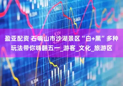 盈亚配资 石嘴山市沙湖景区“白+黑”多种玩法带你嗨翻五一_游客_文化_旅游区
