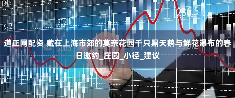 道正网配资 藏在上海市郊的莫奈花园千只黑天鹅与鲜花瀑布的春日邀约_庄园_小径_建议
