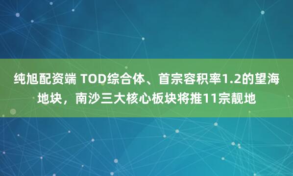 纯旭配资端 TOD综合体、首宗容积率1.2的望海地块，南沙三大核心板块将推11宗靓地