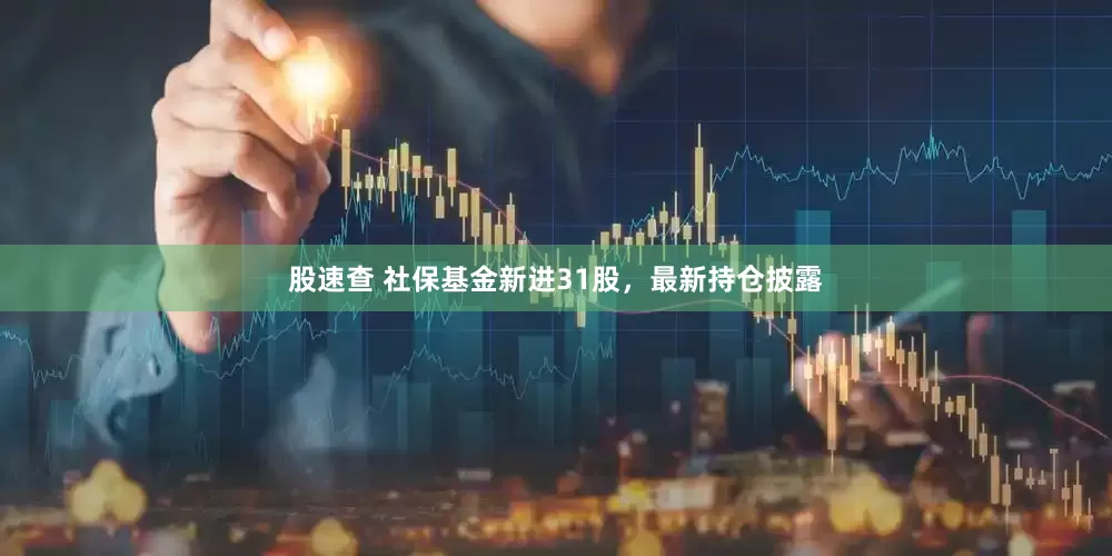 股速查 社保基金新进31股，最新持仓披露