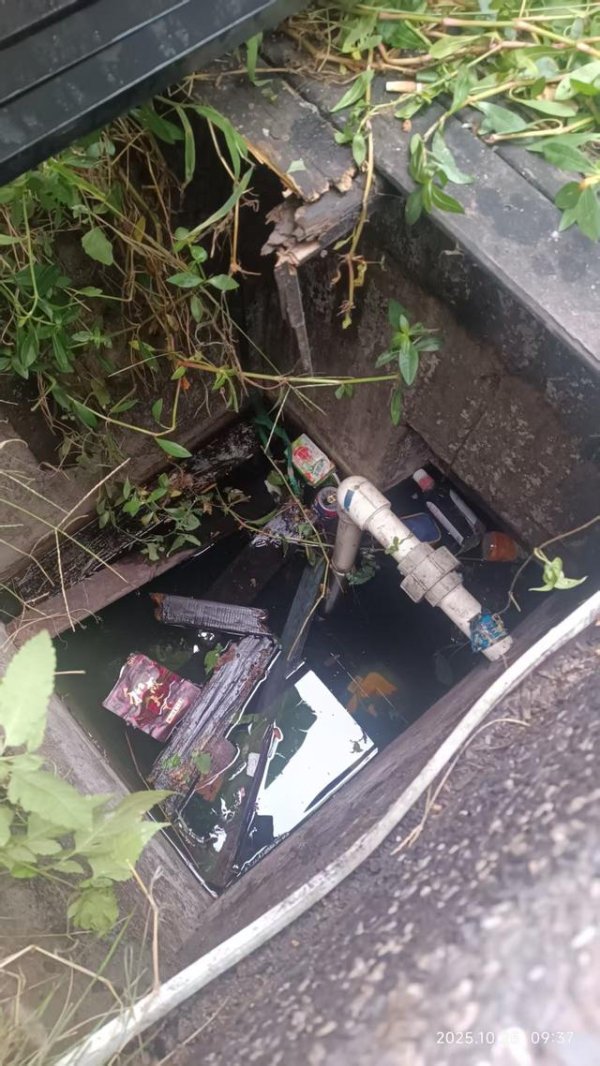 鑫旺资管 19岁小伙酒吧附近坠井深度昏迷，亲属称找不到责任方；青岛当地多部门回应